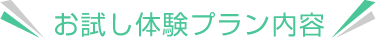 お試し体験プラン内容